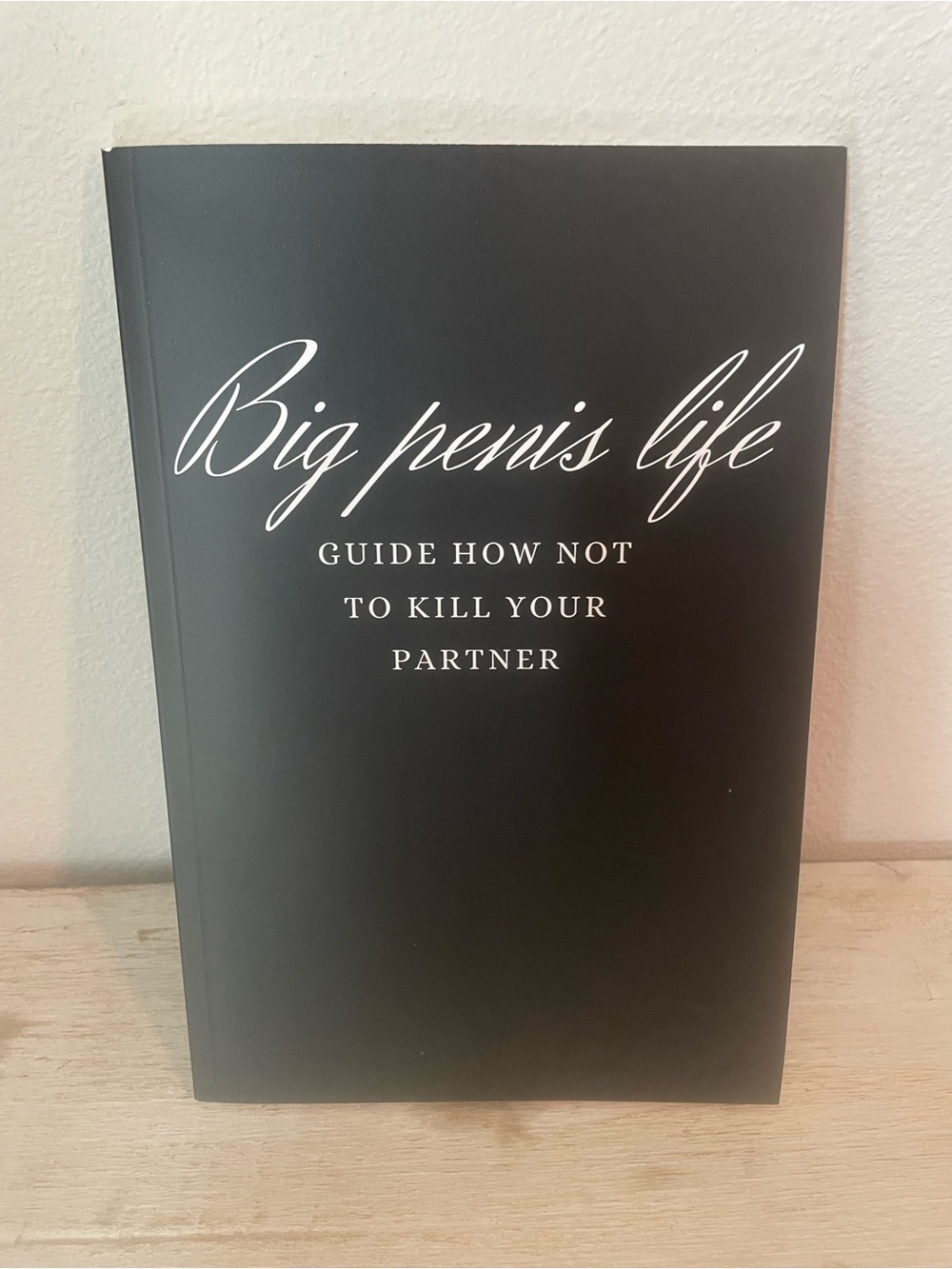 Big Penis Life - Guide How Not To Kill Your Partner - Blank Novelty Notebook